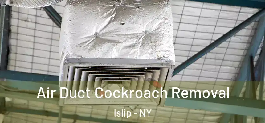 Air Duct Cockroach Removal Islip - NY