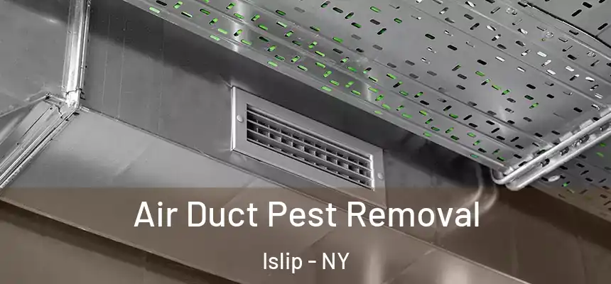  Air Duct Pest Removal Islip - NY