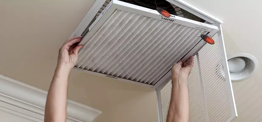 Our Insect Removal from Air Ducts Services in Islip, NY