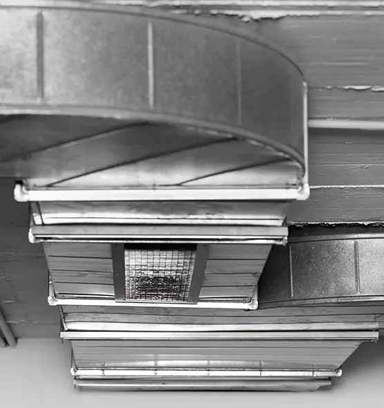 Professional Air Duct Pest Removal in Islip, NY