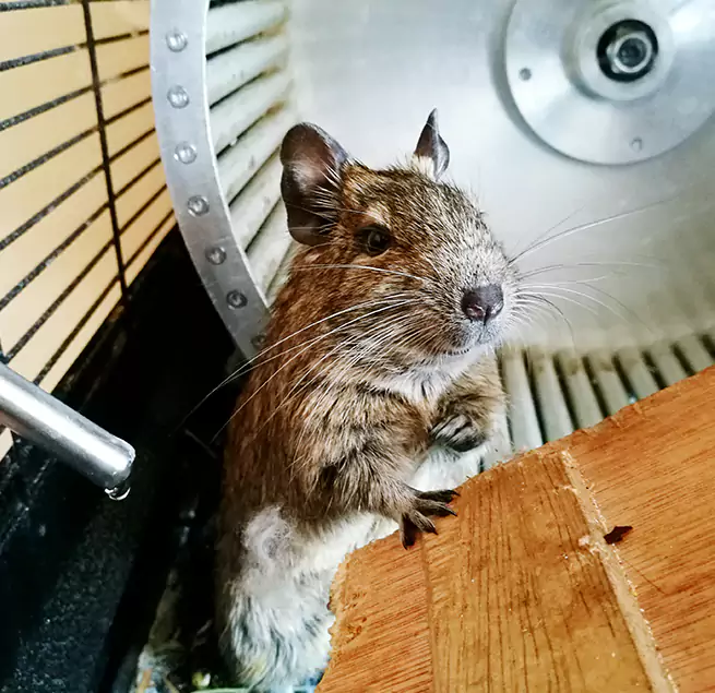 Why Homeowners & Businesses Trust Us Islip, NY